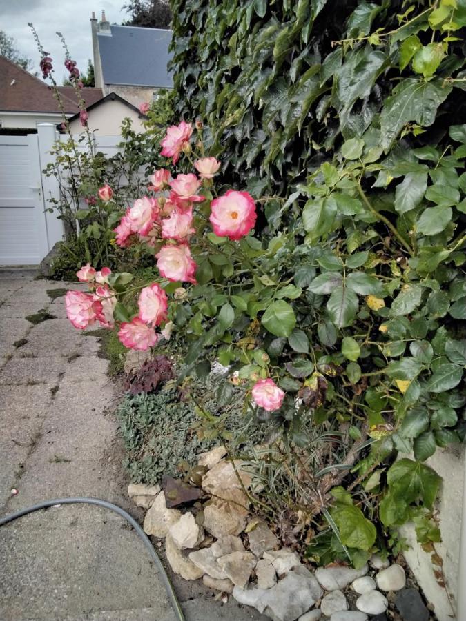 Hortensias Asnelles Εξωτερικό φωτογραφία